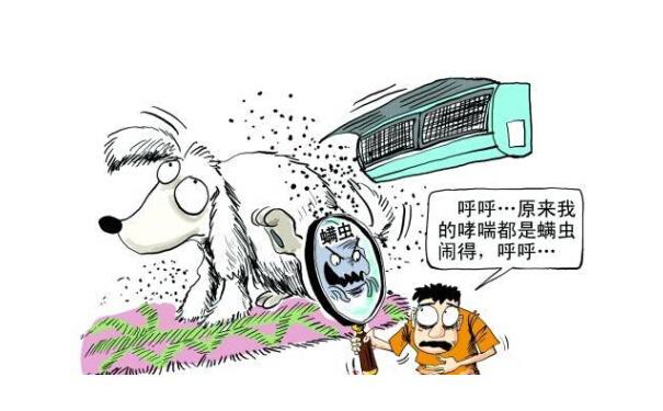 什么是螨虫?螨虫怎么去除?