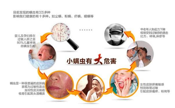 什么是螨虫?螨虫怎么去除?
