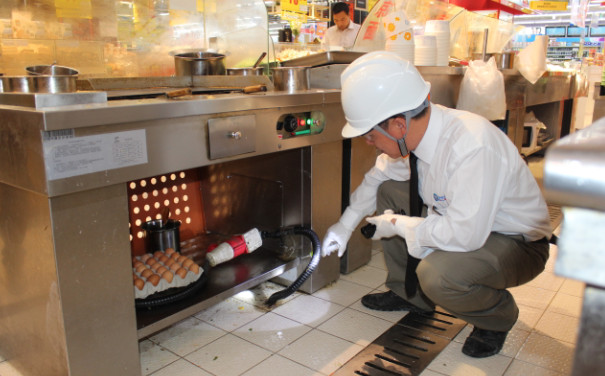 超市蟑螂危害为何日益严重?蟑螂防治的必要性