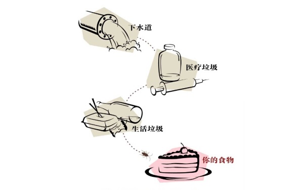 如何使用蟑螂药才能达到最佳效果