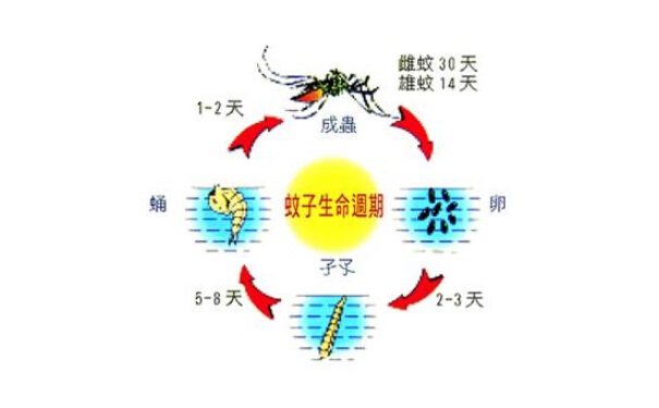 杀虫公司