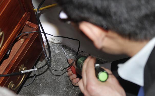 除虫公司爆料:灭蚂蚁最好的方法