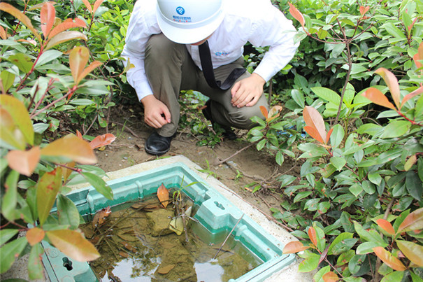学校杀虫灭鼠请联系帮帮拜思特专业除虫公司