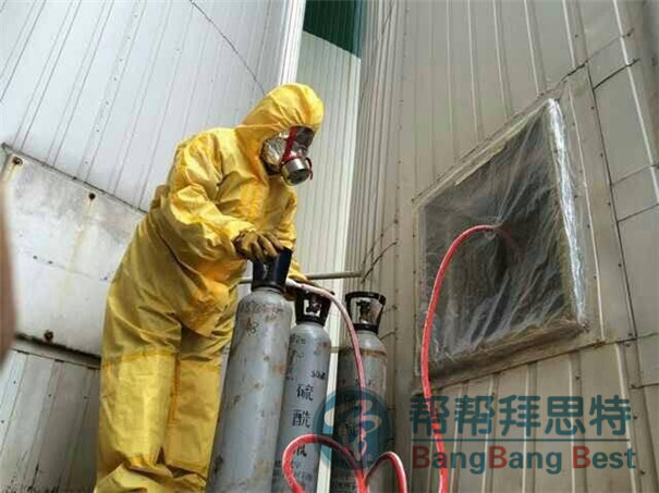 灭鼠公司