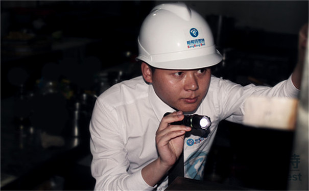 灭鼠公司制定针对仓库灭鼠最好的方法