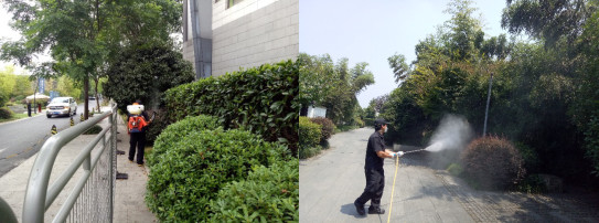 白蚁防治