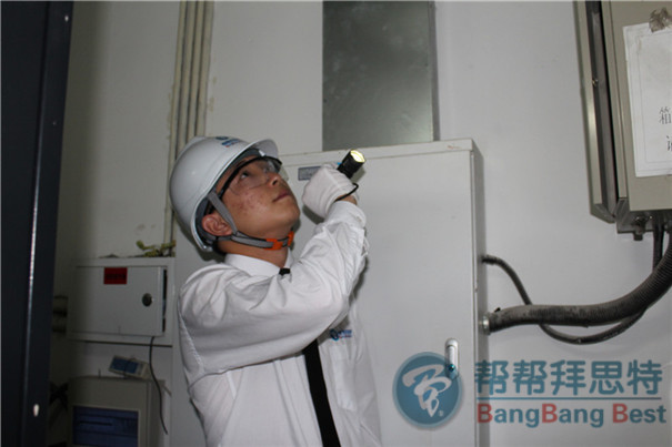 办公室发现老鼠怎么办?灭鼠公司出高招