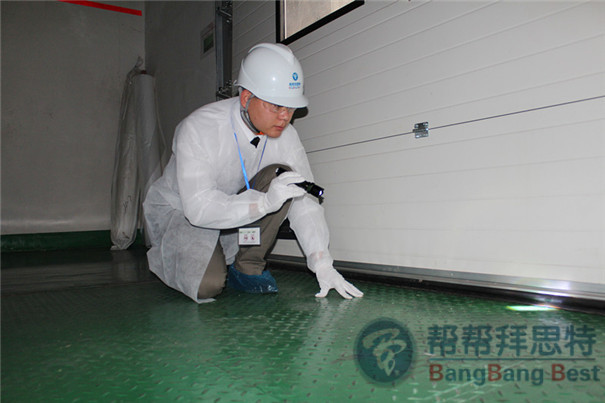 史上最具体最有效的杀蟑螂方法