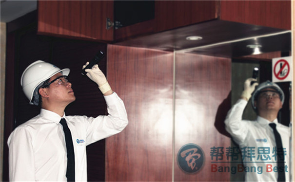 几个常见的灭鼠方法,看看哪个更有效
