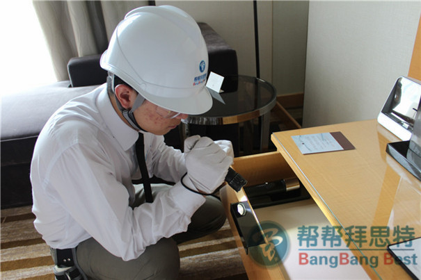 专业除虫公司教你吸血臭虫怎么灭
