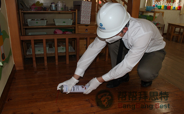 粉蠹虫应该如何消灭?除虫公司告诉你