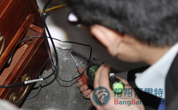 发现白蚁怎么办?白蚁如何消灭?