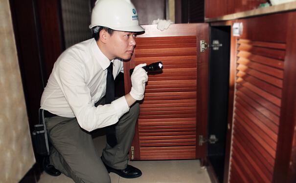 夏天蟑螂多,如何有效消灭蟑螂?