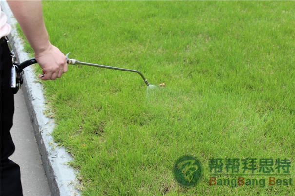 杀虫公司介绍工厂杀虫的具体方法
