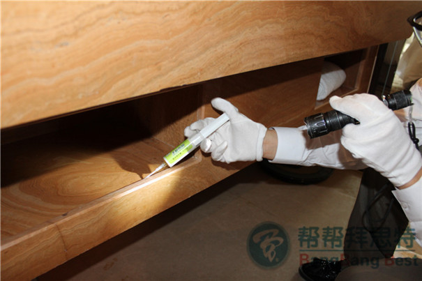 酒店应该如何选择杀蟑螂公司?
