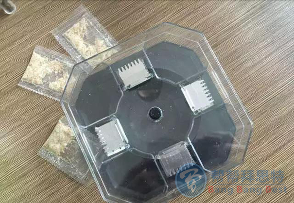 除虫公司教你一招灭蟑秘法,消灭整个蟑螂家族