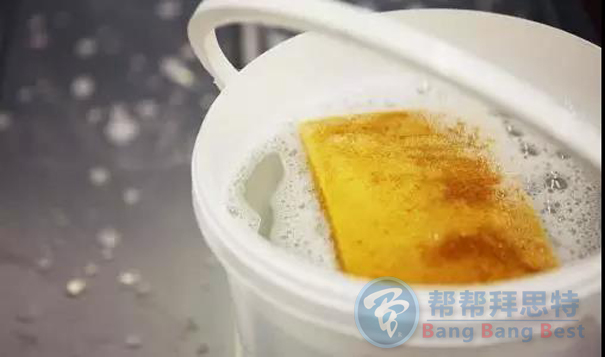 除虫公司教你一招灭蟑秘法,消灭整个蟑螂家族