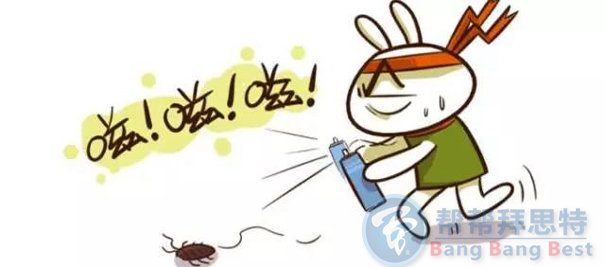 除虫公司教你一招灭蟑秘法,消灭整个蟑螂家族