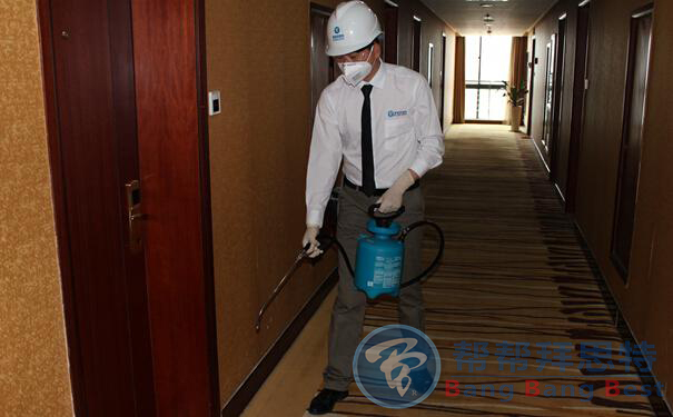 除虫公司带你了解各类蟑螂药的优缺点
