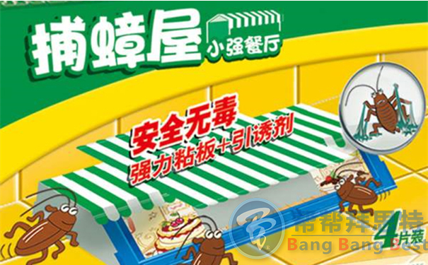 家庭除虫公司总结史上最全防蟑方法