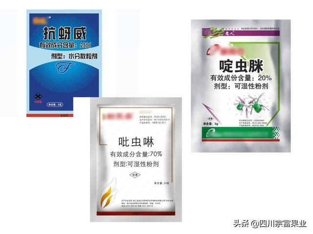 农村人很熟悉的蚜虫，也会为害梨树，造成提前落叶、削弱树势