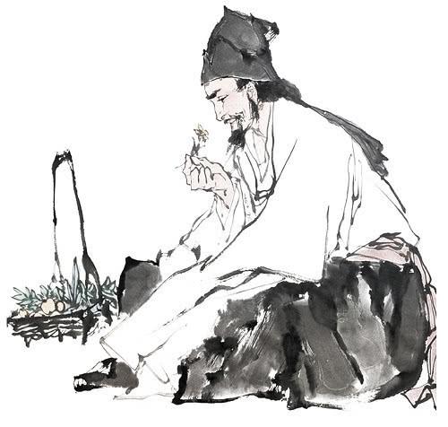 蜘蛛这种看似“邪恶”的生物,能给人类带来什么便利?