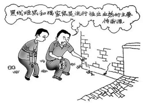 都是老鼠惹的祸，冬季小心出血热