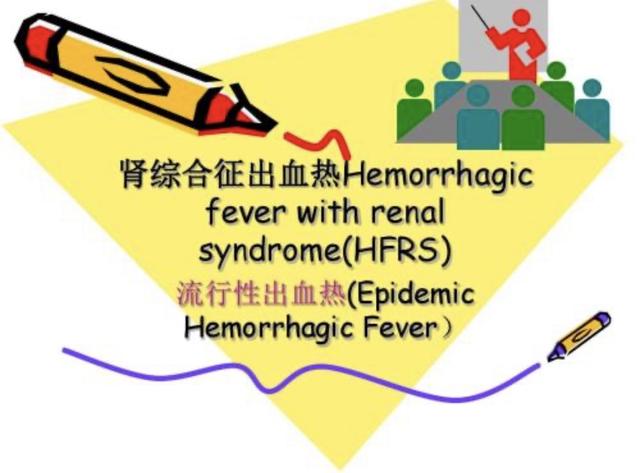 都是老鼠惹的祸，冬季小心出血热