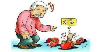 都是老鼠惹的祸，冬季小心出血热