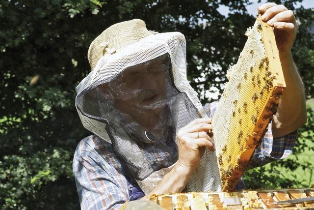 外出别忘了防护措施,昆虫也是病毒的一大携带者