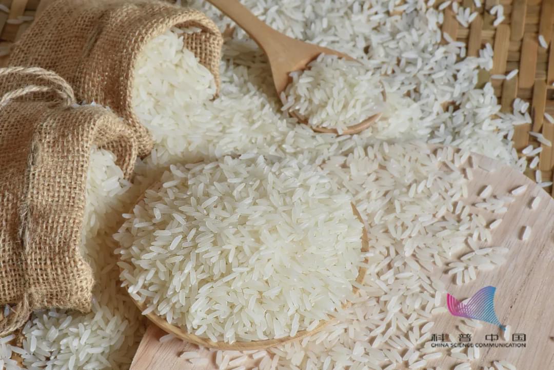 家里的米面为啥凭空出现小虫？