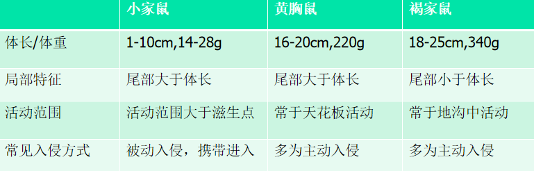 自述｜餐饮行业鼠类如何防治