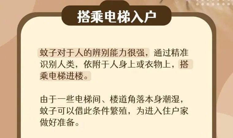 为什么不管住几楼都有蚊子？