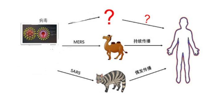 太反常了！四川德阳出现大量蝙蝠，黑压压一片，是灾难前兆吗？