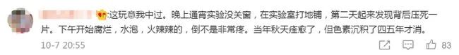 别再关灯玩手机了！这种虫会毁容！切记不要拍......