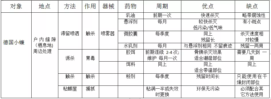 另人闻风丧胆的德国小蠊，如何科学地消灭它