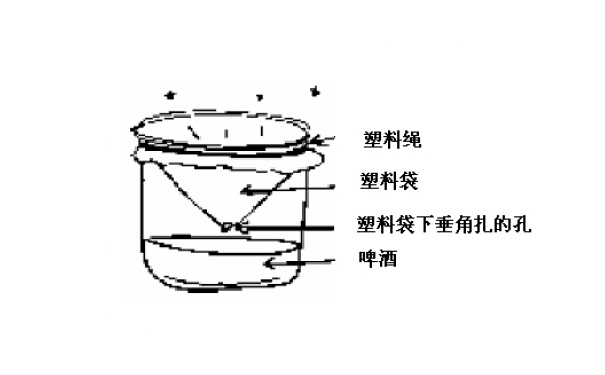 果蝇有什么危害?怎样才能消灭果蝇?