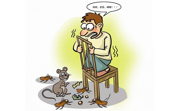 怕蟑螂也是一种幸福