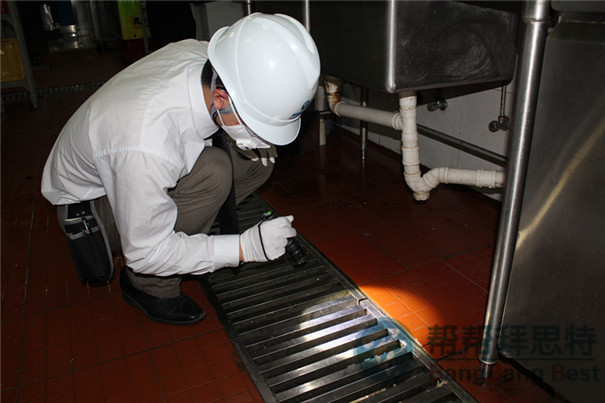 食品工厂除虫应该选择具有高专业性的除虫公司