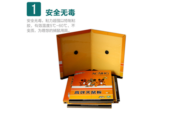 如何正确挑选及使用粘鼠板控虫公司来教你