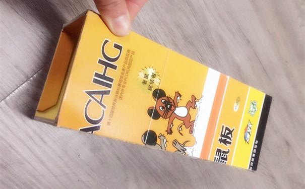 如何正确挑选及使用粘鼠板控虫公司来教你