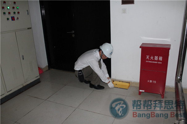 如何正确挑选及使用粘鼠板控虫公司来教你