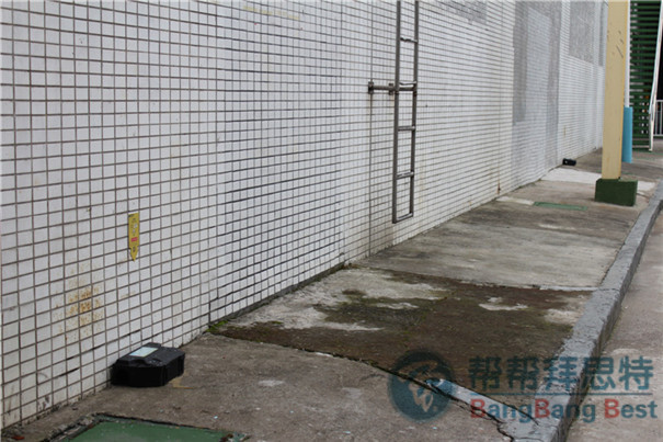 灭鼠公司如何使用毒饵站及毒饵站的布放方法