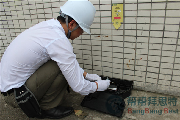物业写字楼发现虫害怎么办?杀虫公司来帮忙