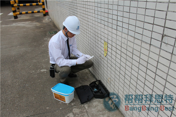 灭鼠公司教您秋季如何正确灭鼠