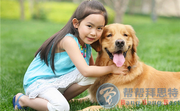 跳蚤的生物习性及危害
