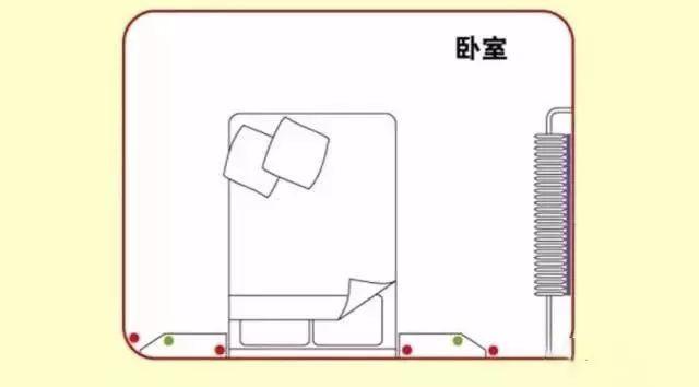 夏天蟑螂太可怕！这些消灭小强的办法，你一定要看