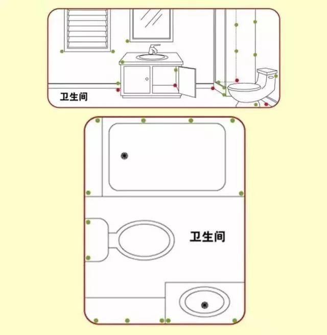 夏天蟑螂太可怕！这些消灭小强的办法，你一定要看