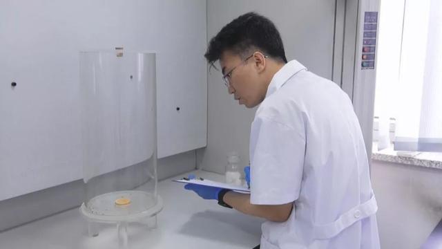 蚊香合不合格,中国CDC这样测!附超全的《灭蚊产品选购指南》