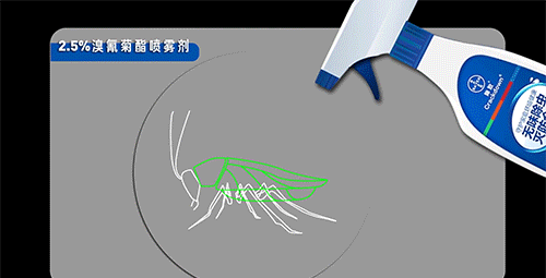 当你杀蟑螂时,究竟发生了什么?